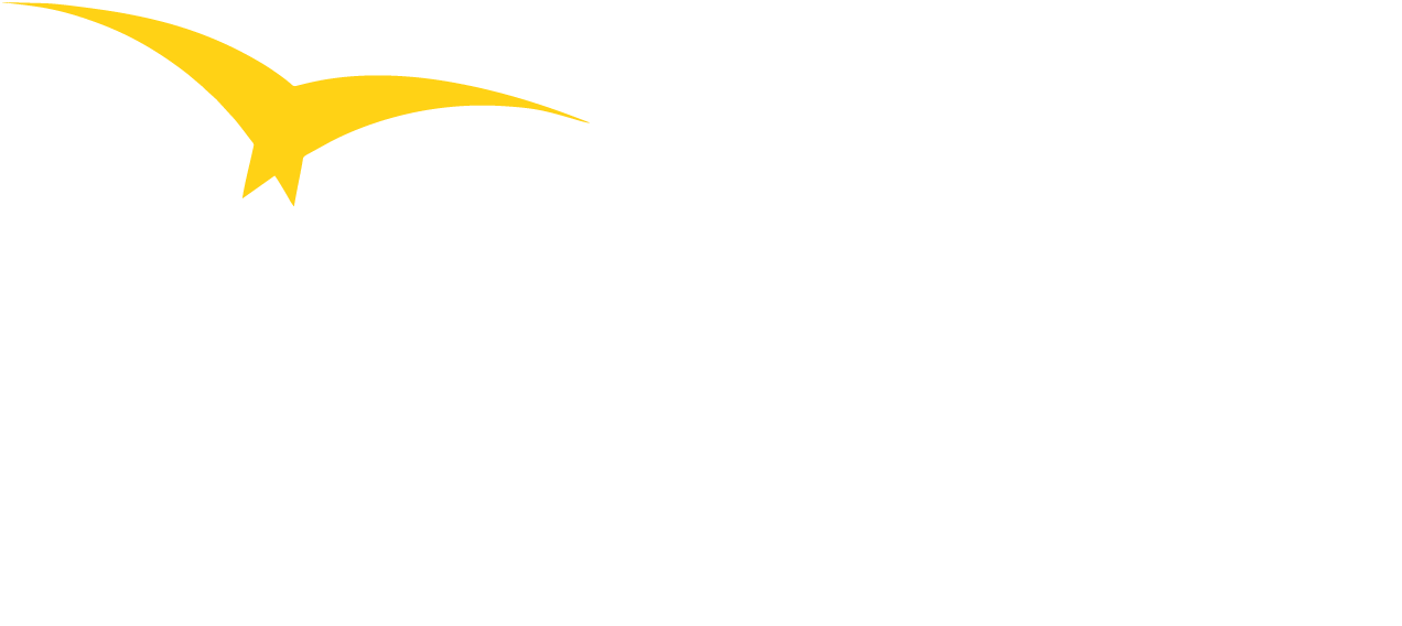 CDC International logo